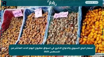 أسعار البلح السيوى والأنواع الأخرى في أسواق مطروح اليوم الأحد العاشر من أغسطس 2025